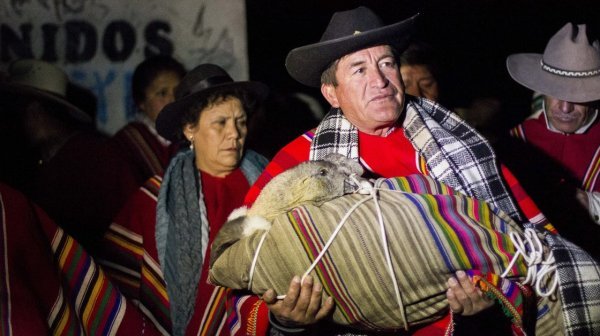 秘鲁雅瓦尔节:秃鹫大战公牛