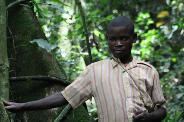 基因组研究发现趋同进化导致雨林的狩猎-采集者(俾格米人)身体尺寸小的证据
