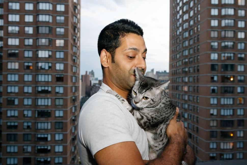 猫真有九条命:美国一只猫从纽约曼哈顿9层楼坠落却仅受到轻微损伤