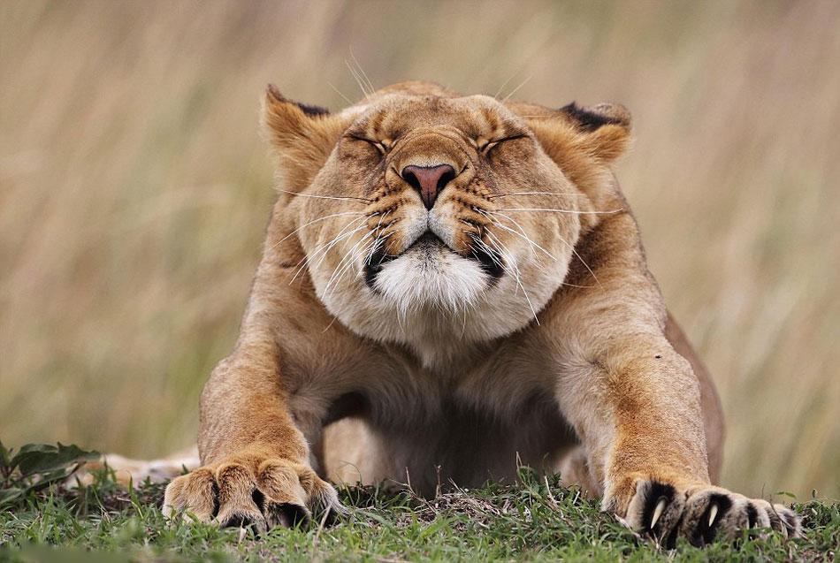 ӢȻʷݾٰĵ50ҰӰʦƷ