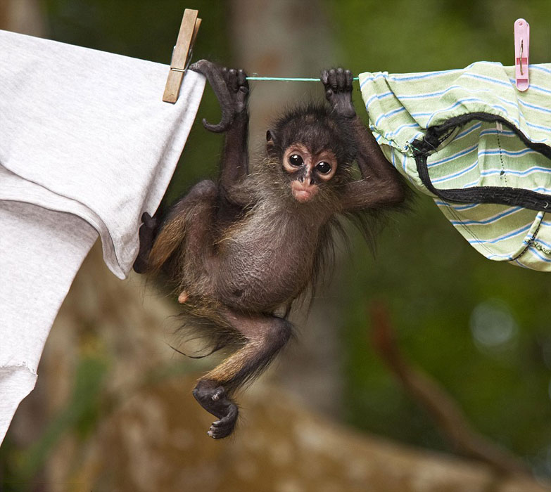 ӢȻʷݾٰĵ50ҰӰʦƷ