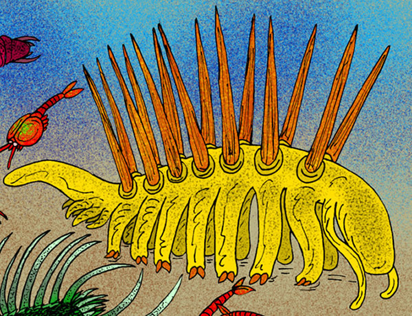 英国剑桥大学学者破解5亿年前寒武纪怪诞虫之谜