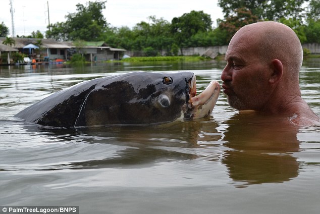 Ӣ���ο���̩������50���ӵ��������¼�ľ���������