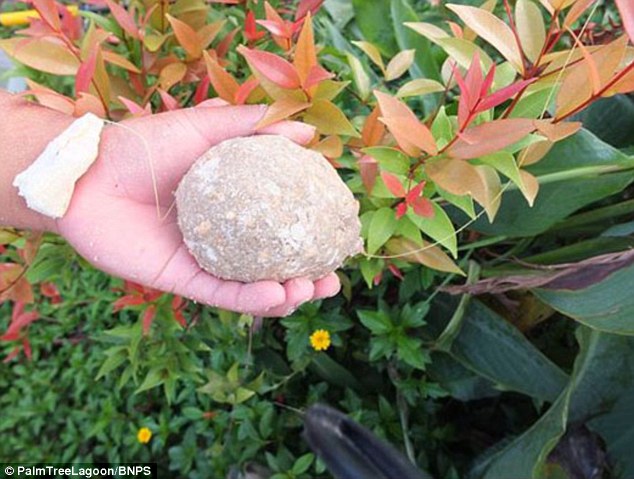 Ӣ���ο���̩������50���ӵ��������¼�ľ���������