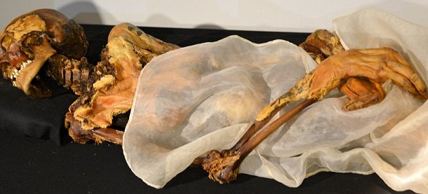 ľ�������������ǹ�����(Princess Ukok)����Ϊ���ش�������ͺ�ˮ����Ȼ�ֺ���