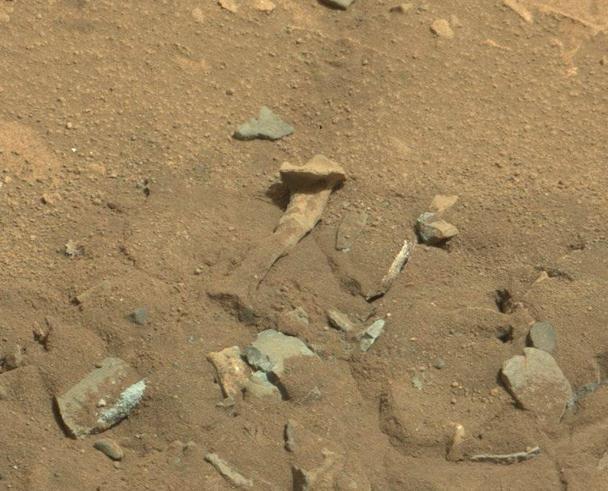 阴谋论者认为好奇号已经在火星表面拍摄到疑似外星人骨头的照片