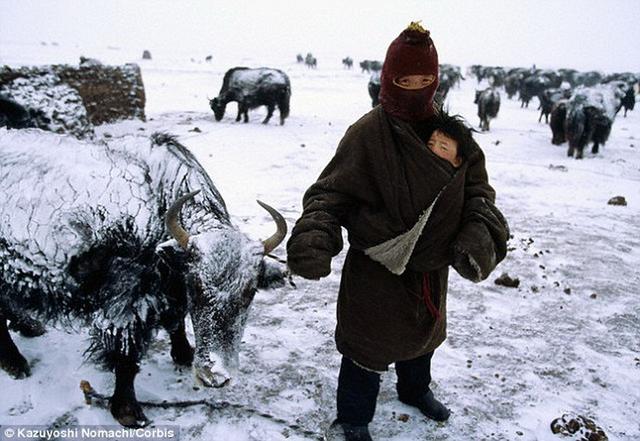 最新研究发现8000年前藏族人祖先出现基因突变 更好适应低氧高原环境