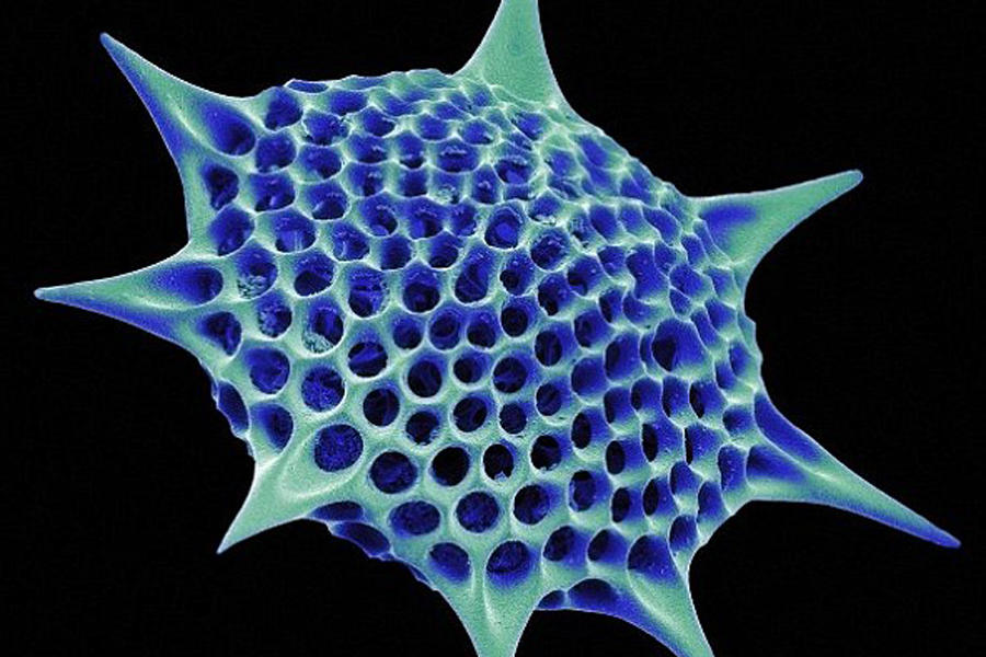 ����˹��ѧ�ң������Ƕ��������ˡ�