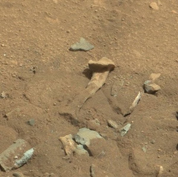 NASA火星照片惊现外星人大腿骨?