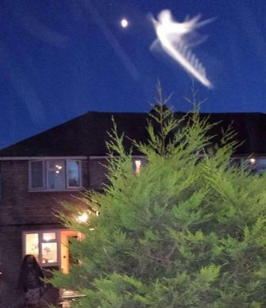 Ӣ���׶ؾ����ڻ�԰���������ĵ�����ʹ��