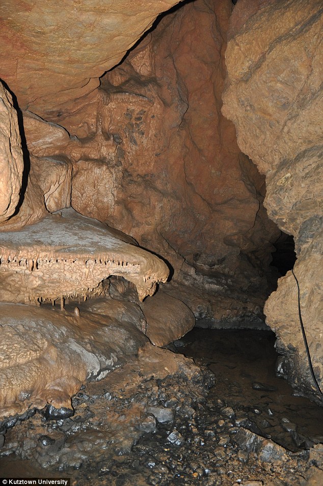 罗马尼亚洞穴中发现的人类脚印化石可能比原来设想的古老得多