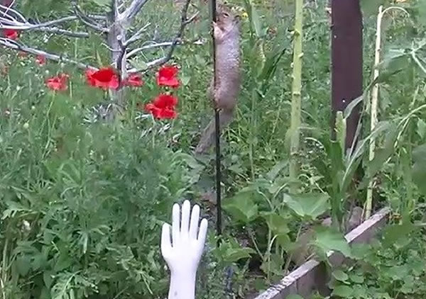 ľ���Աߵĸ���Ϳ������˪�������������ԣ���ȡ���������ܵȲ�ͬ���ԣ�ʮ�ֿɰ���