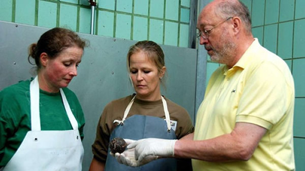 ����԰��ҽ�����˶������˽��ʣ��������ĳ������ҵ���һö����