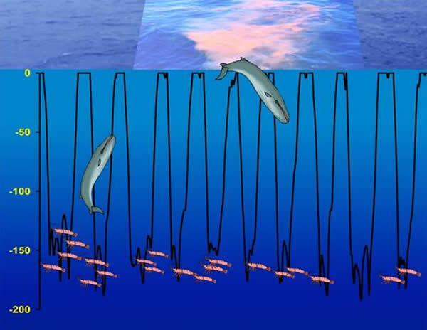 оָ뾨Ĩ㾨Ļصǿȫ