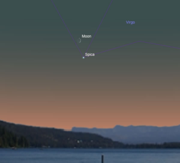 这个插图显示的是8月30日(星期六)黄昏时分的西南方天空,此时,蛾眉月位于明亮的室女座星「角宿一」(Spica)上方。 Courtesy of SkySafar