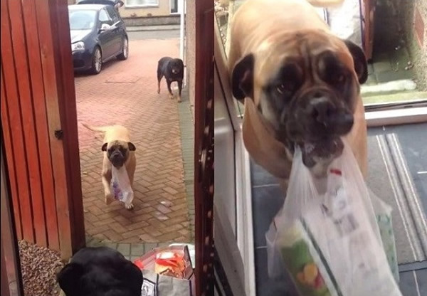 ���򿴵����˴ӳ��й���ؼң������Զ���ǰ��æ�������������3���������ݡ�