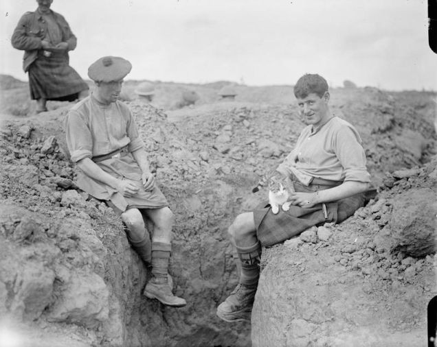 1916年8月25日,2名士兵和猫。