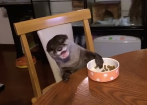 ձһֻˮ̡Ȼá֡ץԸ