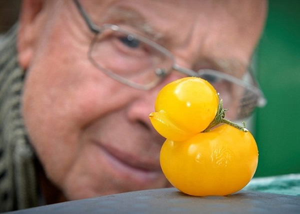 Ӣ�����ҳ���С��Ѽ��ԭ����Ȼ��ެ��