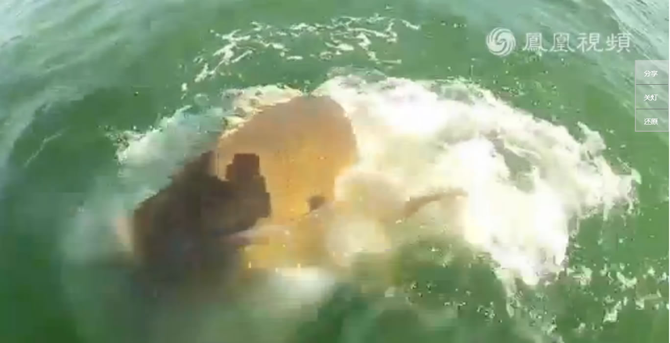 美国男子在海里钓上的鲨鱼被巨大怪鱼一口吞下