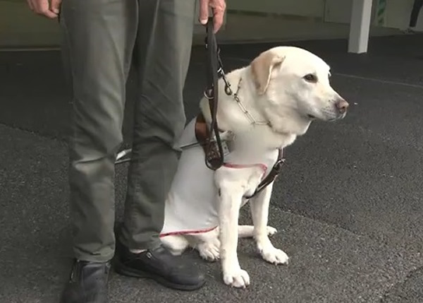 �ձ�9�������������ർäȮ��Ϯ���� ��ɧ�����˲�������