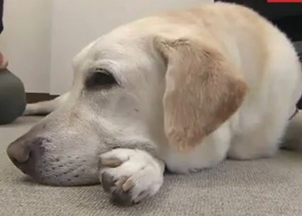 �ձ�9�������������ർäȮ��Ϯ���� ��ɧ�����˲�������