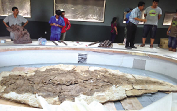 走近大型甲龙新属种“朝阳传奇龙”