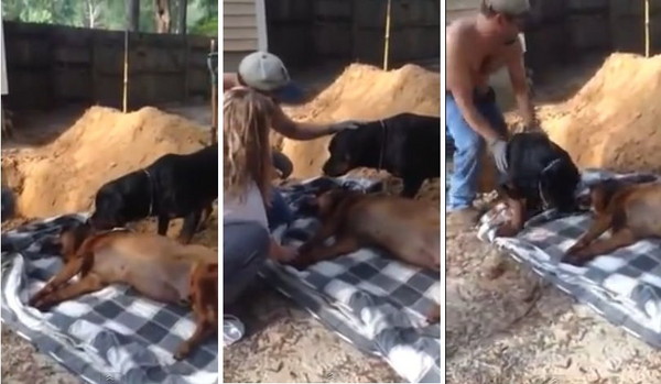 ͬ������ǰ������Ȯ��ʹ���