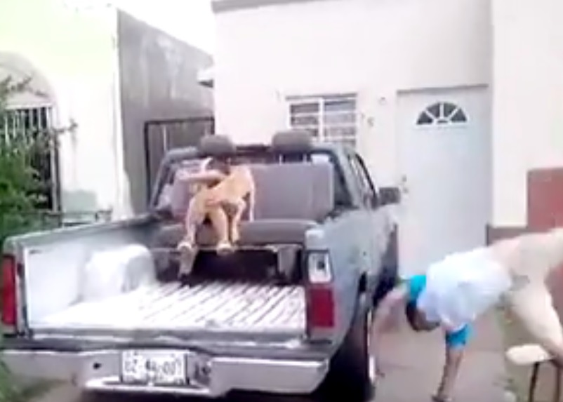 想不到男孩转手来个侧空翻