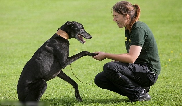 基金会形容杰德友善、亲切、有规有矩。