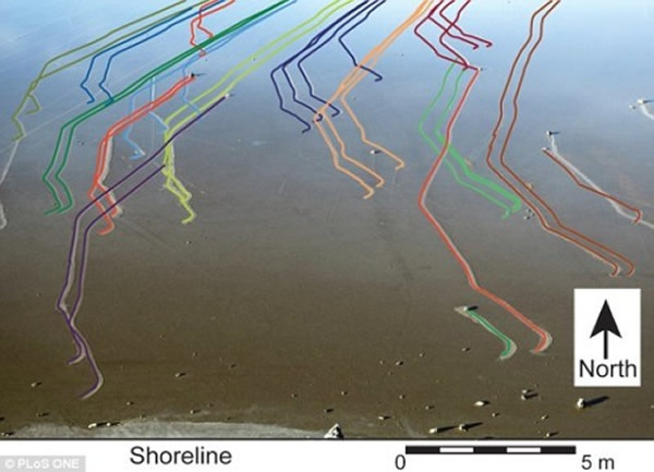 破解美国加州死亡谷国家公园“石头会走路”之谜