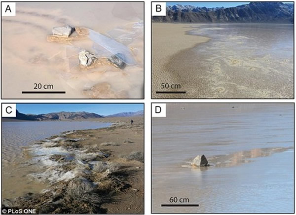 左上方的图片显示的是正在推动移动石块向前行进的“窗玻璃”冰。右上方的图片显示的是在2013年12月20日的石块移动过程中,水塘里的水正慢慢向北岸移动。左下方的图