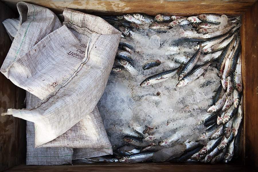 ����ʧ����˹���������β���