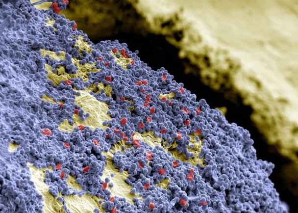 ϸ����������������������ݱ��棬ʮ�ֲֿ���