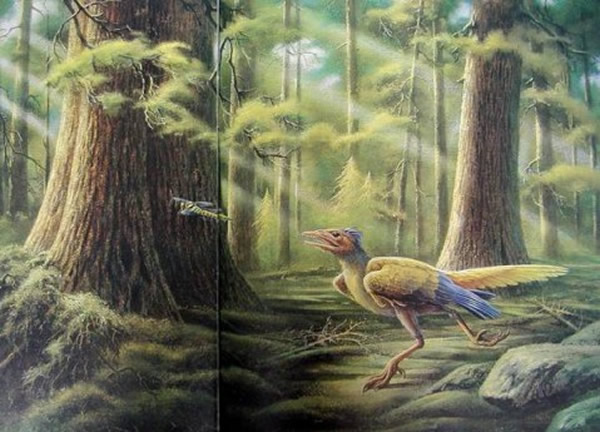 鄂托克鸟复原图