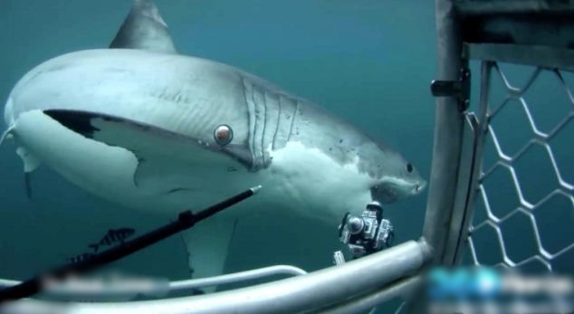 ����������躣�׳���������Ӱʦ�������