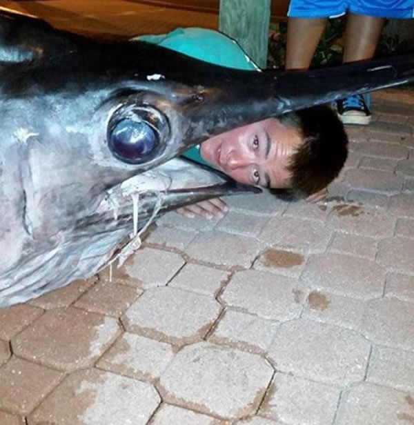 ����17�������ڷ�����ﺣ������һ���ش�314����Ľ���