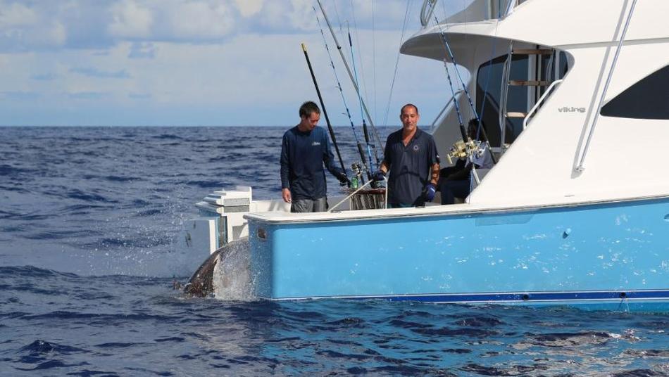 ����17�������ڷ�����ﺣ������һ���ش�314����Ľ���