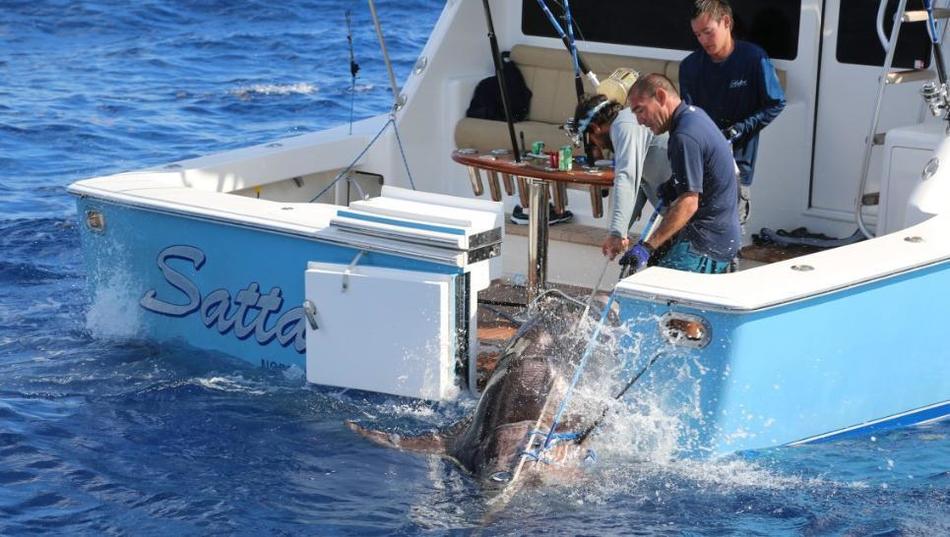 ����17�������ڷ�����ﺣ������һ���ش�314����Ľ���