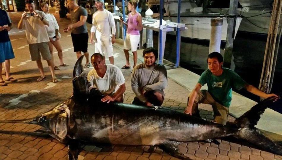 ����17�������ڷ�����ﺣ������һ���ش�314����Ľ���