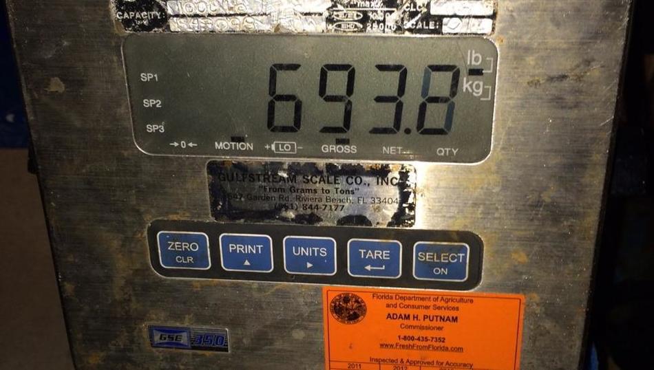 ����17�������ڷ�����ﺣ������һ���ش�314����Ľ���