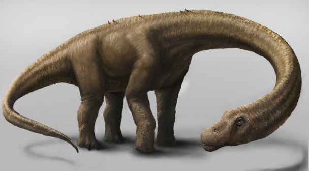 阿根廷巴塔哥尼亚区南部发现一具巨型恐龙化石“无畏龙”Dreadnoughtus schrani