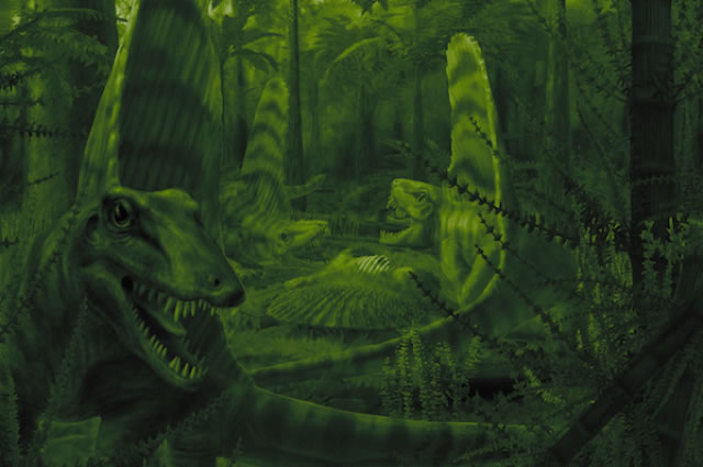 哺乳动物在远古时期的近亲是一群“夜猫子”