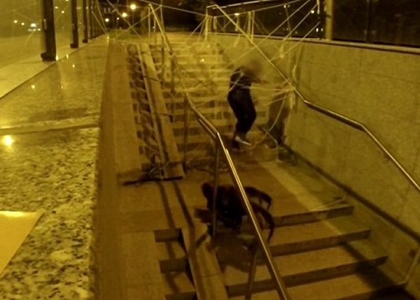 ���б���֩��������סȥ·������������׷�ϡ�