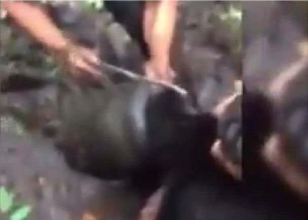 һ幤þӾ⿪ͷϵĽͰ