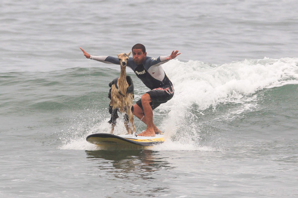 2010��3�£���ֻ��ΪPisco�����������Ľ�����Ҳ������³Ǳˮ����Domingo Pianezzi����ͬ�£���������San Ba​​