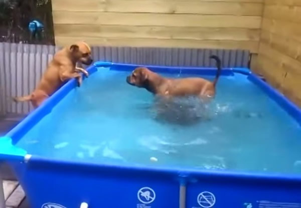 ���ǲ������������������ڽ��������