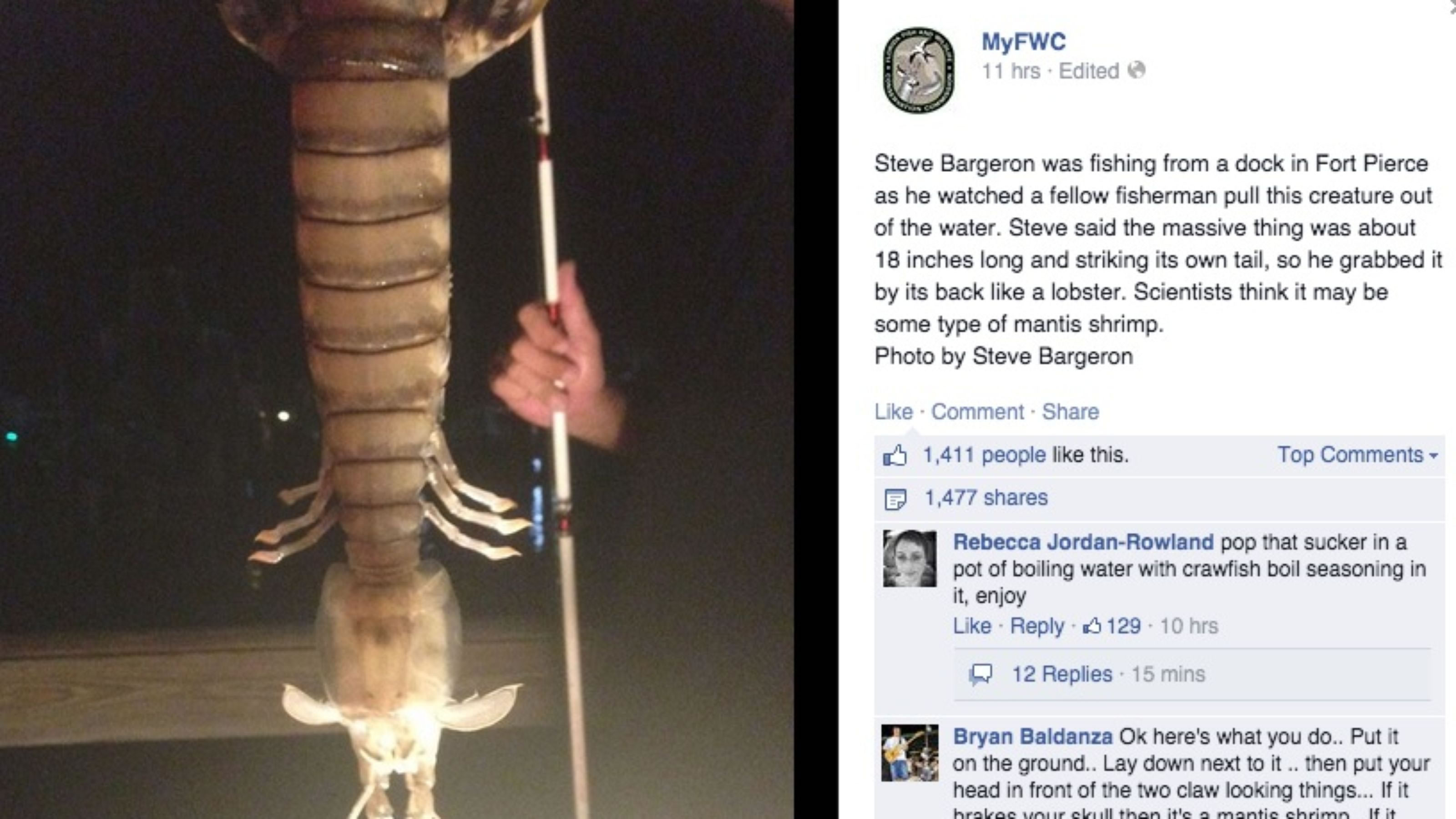 ������������������������46���ֵľ��ް����Ϻ