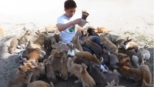 男子把手中饲料撒在地上,兔子蜂拥而上。