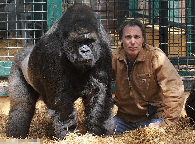 ��˹Ƥŵ������Ұ������԰�Ĵ������ͻط���Ұ�����